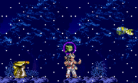 Bushi Seiryuuden – Futari no Yuusha (Japan)
