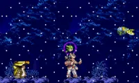 Bushi Seiryuuden – Futari no Yuusha (Japan)