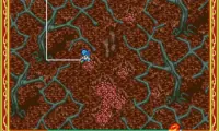 Cacoma Knight in Bizyland (USA)