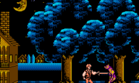 Captain Silver (Japan)