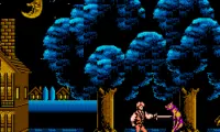 Captain Silver (Japan)