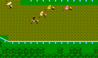 Casino Derby (Japan)