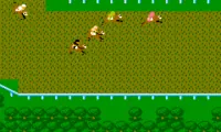 Casino Derby (Japan)