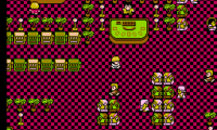 Casino Kid (USA)