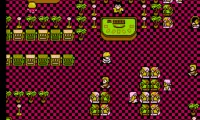 Casino Kid (USA)