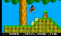 Castle of Illusion Starring Mickey Mouse (USA)