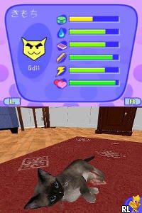 Catz 2 – Daisuki Nyan Nyan Park (Japan)
