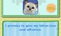 Catz (USA)