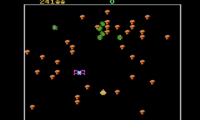 Centipede (Europe)