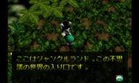 Chameleon Twist (Japan)
