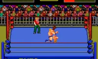 Champion Wrestler (Japan)