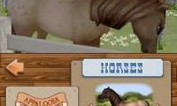 Championship Pony (USA)
