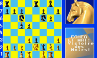Chessmaster (F)(Patience)