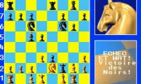 Chessmaster (F)(Patience)