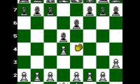 Chessmaster, The (USA)