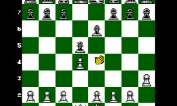 Chessmaster, The (USA)