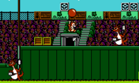 Chip & Dale: Tale Spin Levels