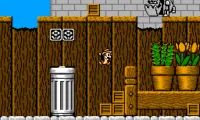 Chip ‘n Dale Rescue Rangers (USA)