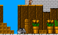 Chip to Dale no Daisakusen (Japan)