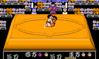 Chiyonofuji no Ooichou (Japan)