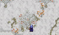 Chrono Trigger – Flames of Eternity RC7C