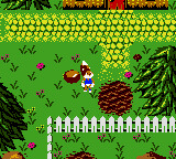 Conker’s Pocket Tales (USA, Europe) (En,Fr,De)