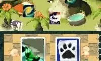 Contact (Japan)