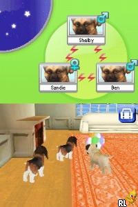 Conveni DS, The – Otona no Keieiryoku Training (Japan)