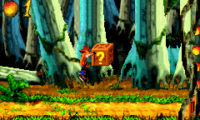 Crash Bandicoot XS (E)(Paracox)