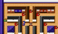 Cratermaze (USA)