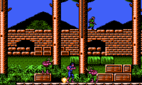 Cross Fire (Japan)
