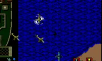 Cross Fire (USA)
