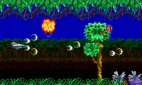 Curse (Japan)