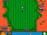 CyberTiger (USA)