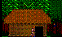 Danan – The Jungle Fighter (Europe)