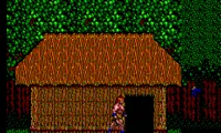 Danan – The Jungle Fighter (Europe)