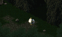 Dark Half (Japan)