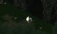 Dark Half (Japan)