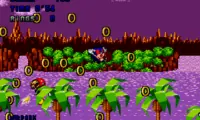 Dark Sound The Hedgehog