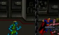 Death and Return of Superman, The (USA)
