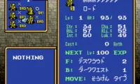 Densetsu no Ogre Battle – The March of the Black Queen (Japan)