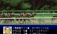 Derby Stallion 64 (Japan)