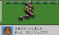 Derby Stallion ’96 (Japan)
