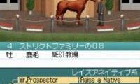 Derby Stallion DS (Japan)