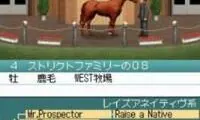 Derby Stallion DS (Japan)