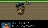 Derby Stallion II (Japan)