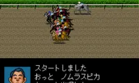 Derby Stallion II (Japan)