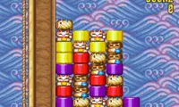 Dharma Doujou (Japan)