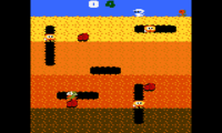 Dig Dug (USA)