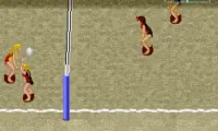 Dig & Spike Volleyball (USA)
